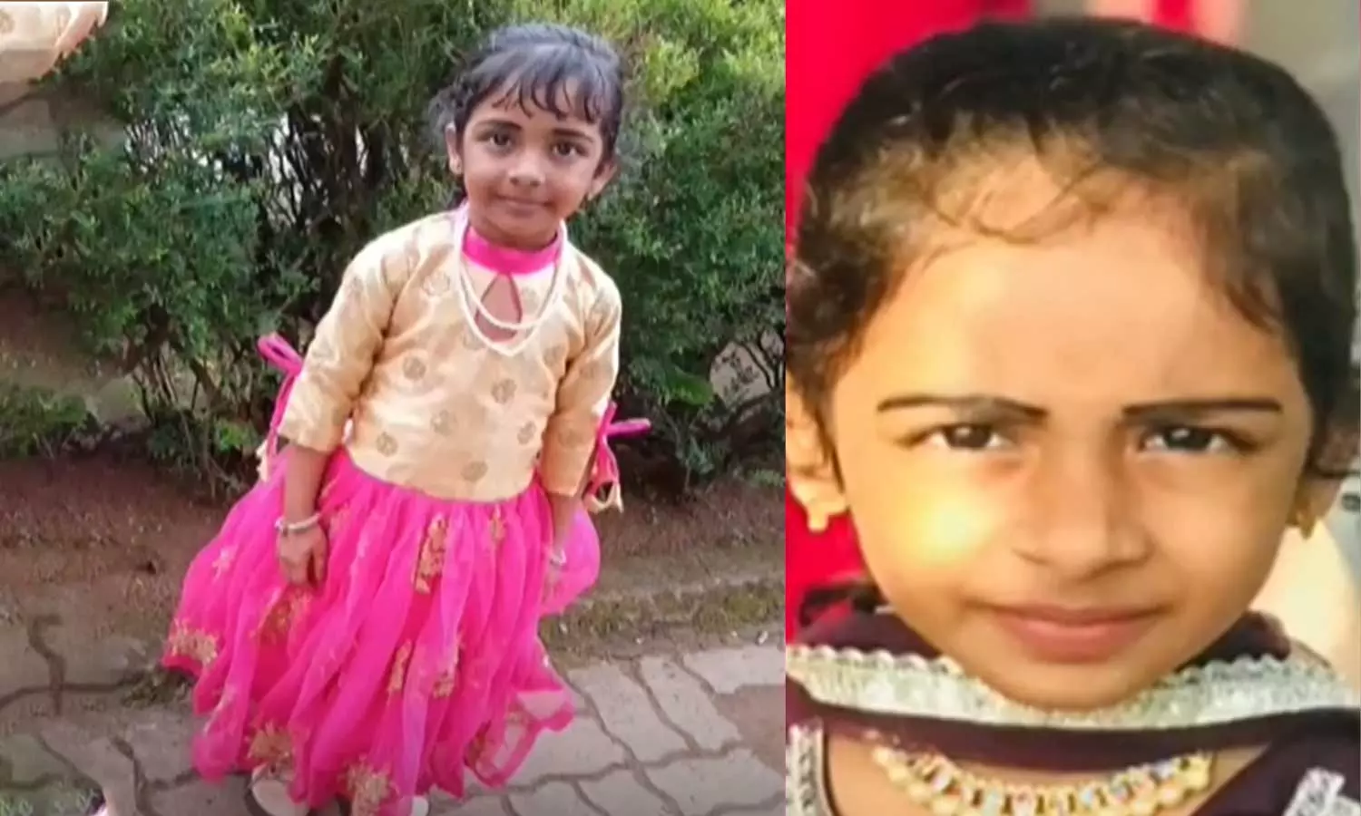 പേവിഷ ബാധയേറ്റ് ചികിത്സയിലിരുന്ന അഞ്ചര വയസുകാരി മരിച്ചു