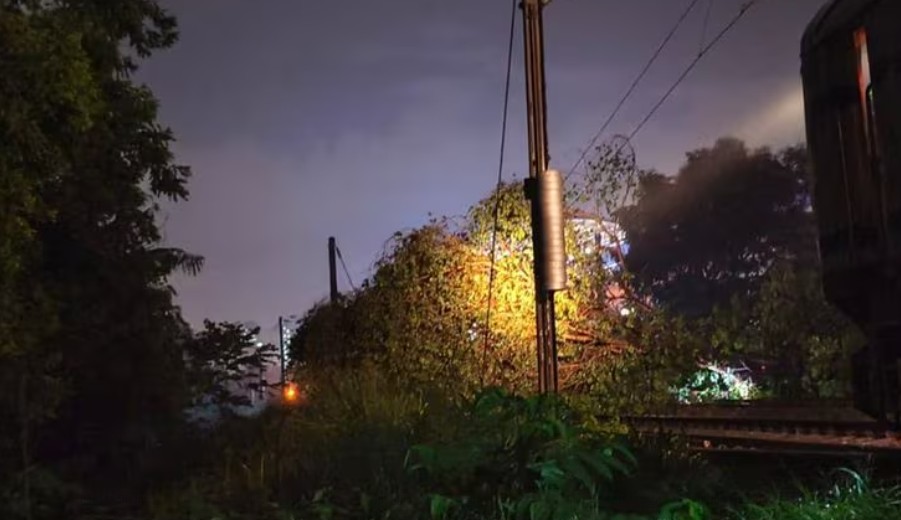 കനത്ത മഴ, സംസ്ഥാനത്ത് വ്യാപക നാശനഷ്ടം, അഞ്ച് മരണം, കോഴിക്കോട് വഴിയുള്ള ട്രെയിന്‍ ഗതാഗതം തടസപ്പെട്ടു