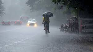 എറണാകുളം ജില്ലയില്‍ നാളെ വിദ്യാഭ്യാസ സ്ഥാപനങ്ങള്‍ക്ക് അവധി